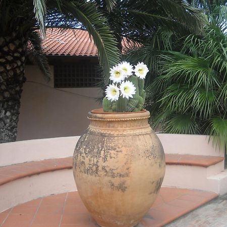 Hotel Villaggio Cala Di Volpe Capo Vaticano Εξωτερικό φωτογραφία