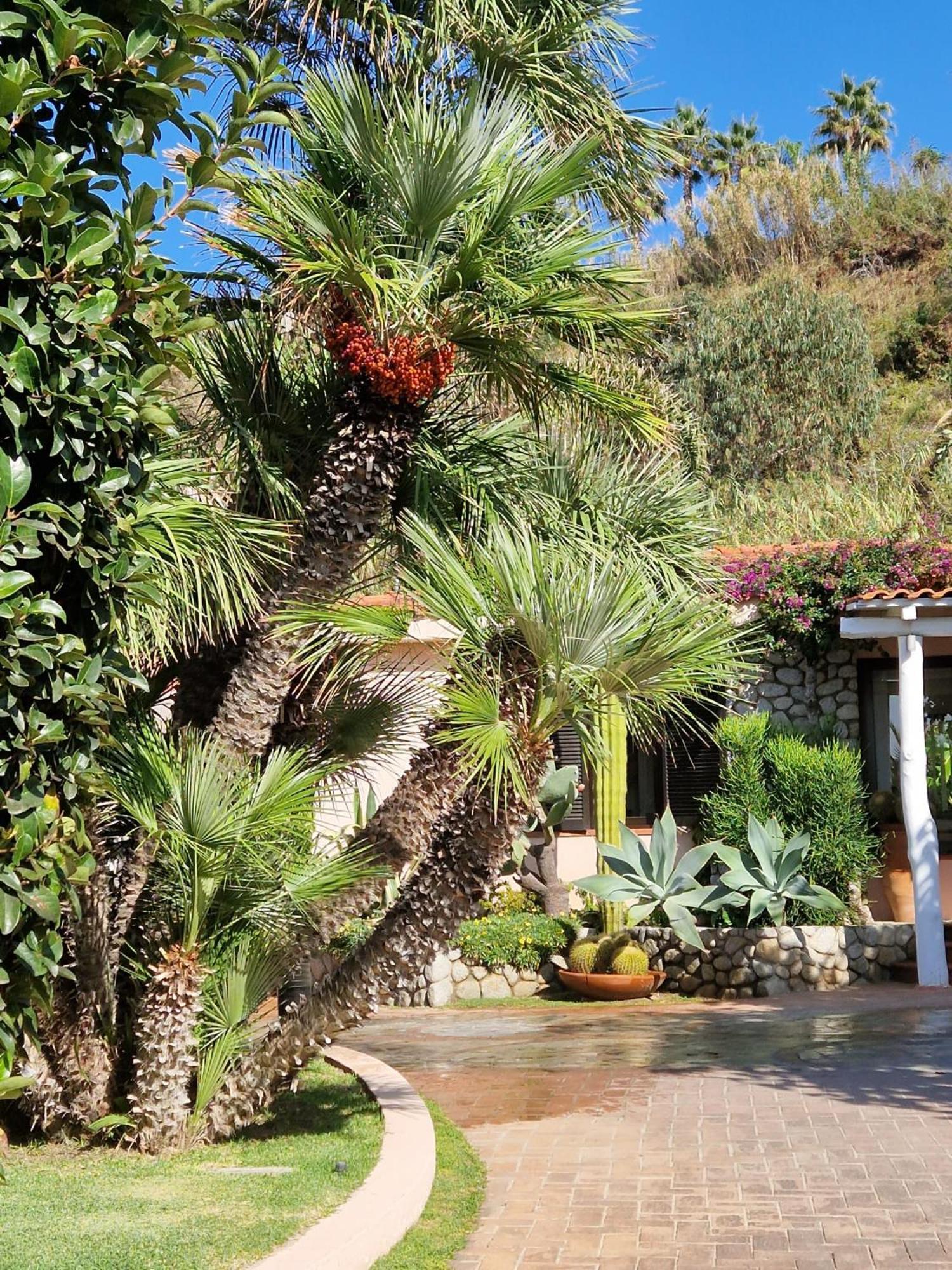 Hotel Villaggio Cala Di Volpe Capo Vaticano Εξωτερικό φωτογραφία
