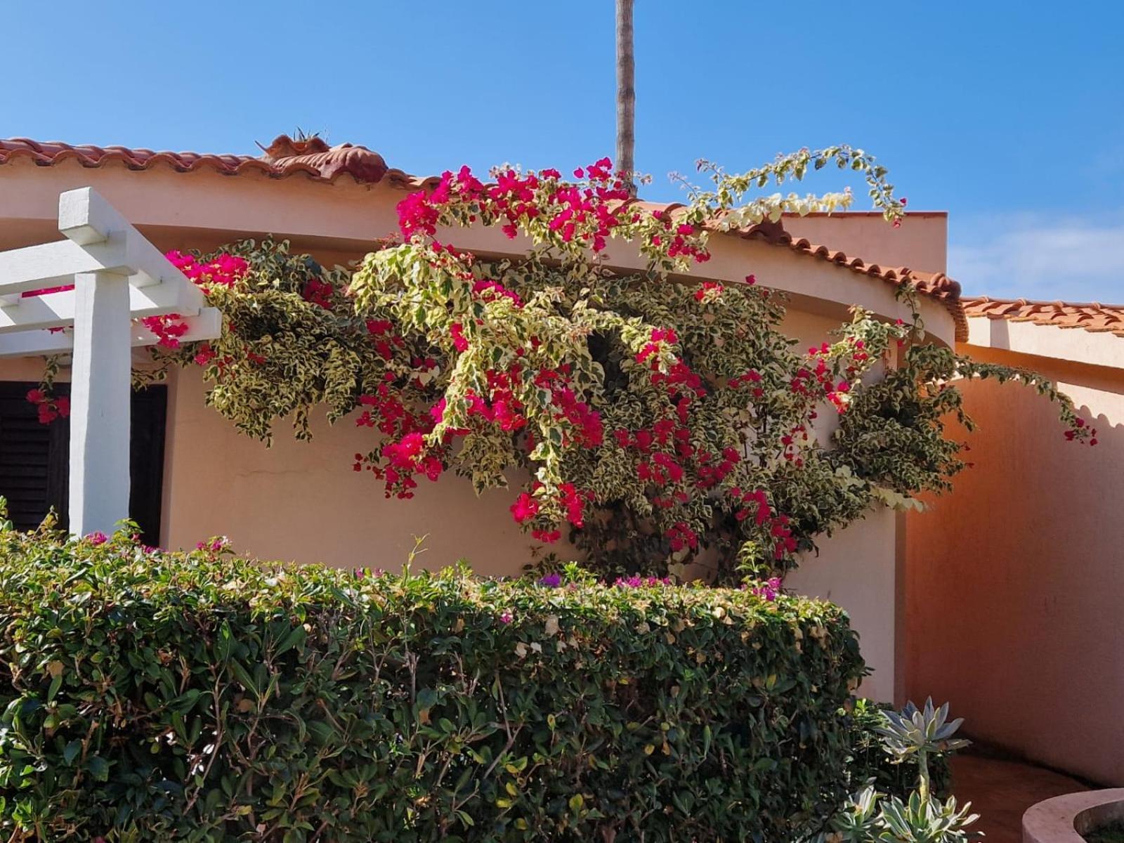 Hotel Villaggio Cala Di Volpe Capo Vaticano Εξωτερικό φωτογραφία