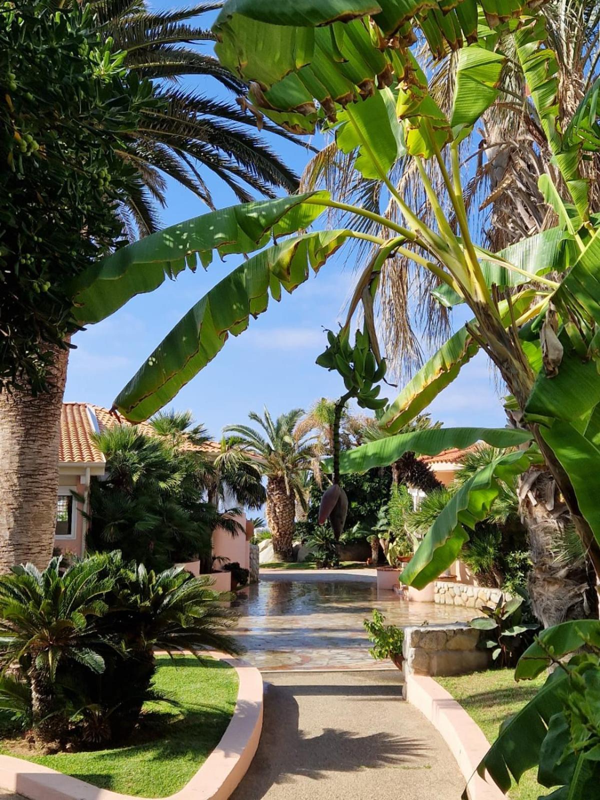 Hotel Villaggio Cala Di Volpe Capo Vaticano Εξωτερικό φωτογραφία