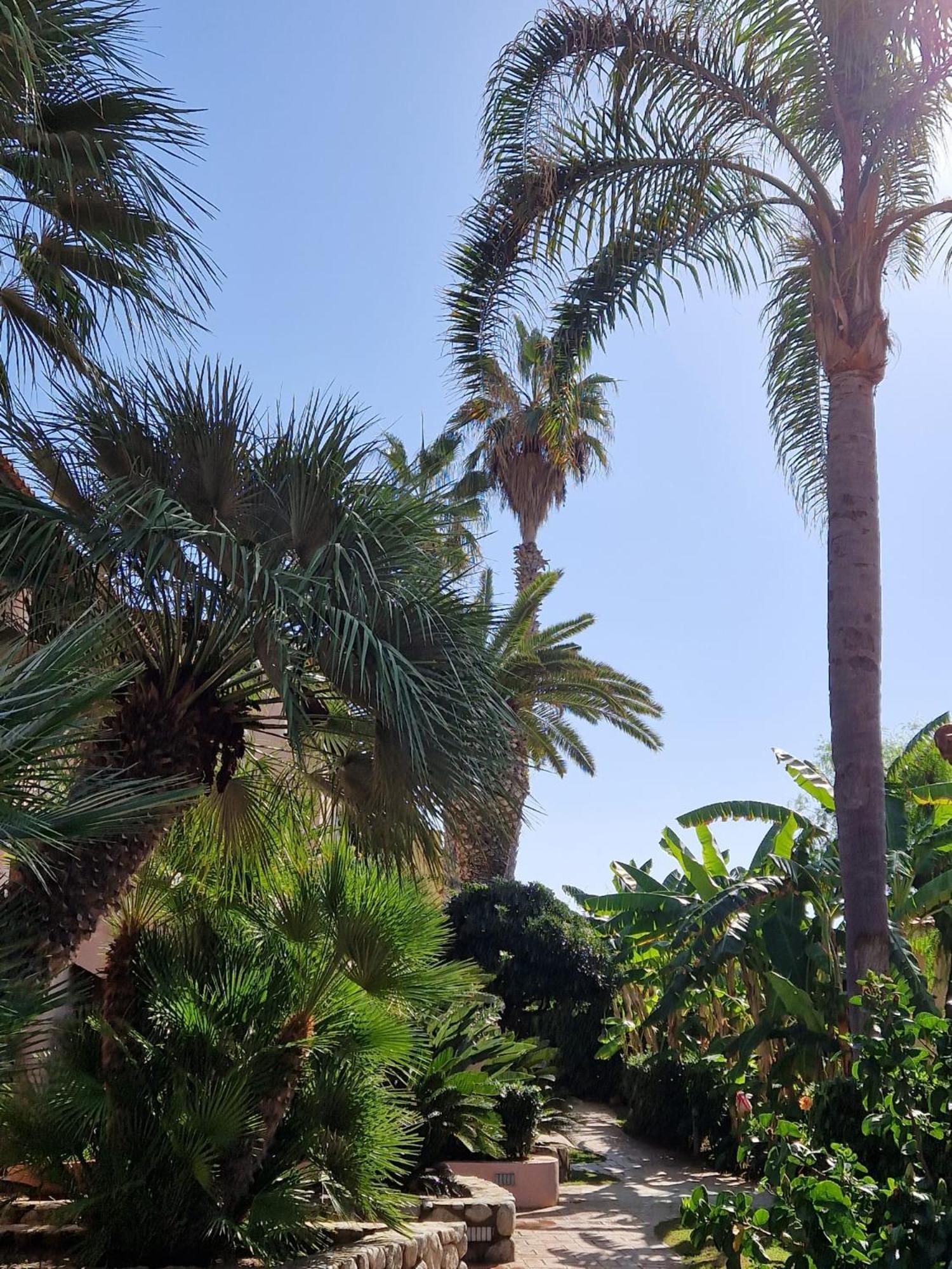 Hotel Villaggio Cala Di Volpe Capo Vaticano Εξωτερικό φωτογραφία